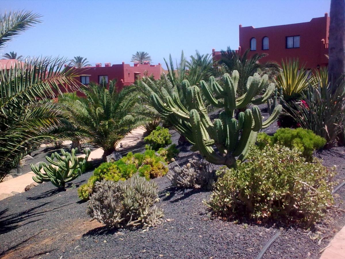Apartamento Tamarindo I piscinas de agua salada - fibra óptica Corralejo Exterior foto