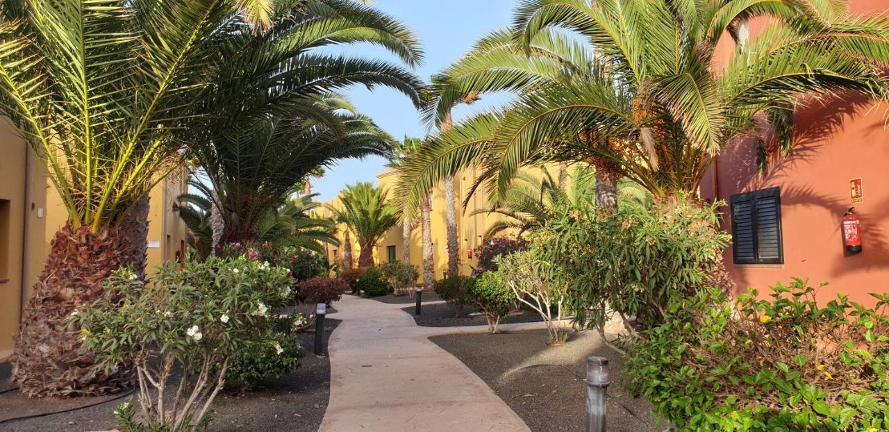 Apartamento Tamarindo I piscinas de agua salada - fibra óptica Corralejo Exterior foto