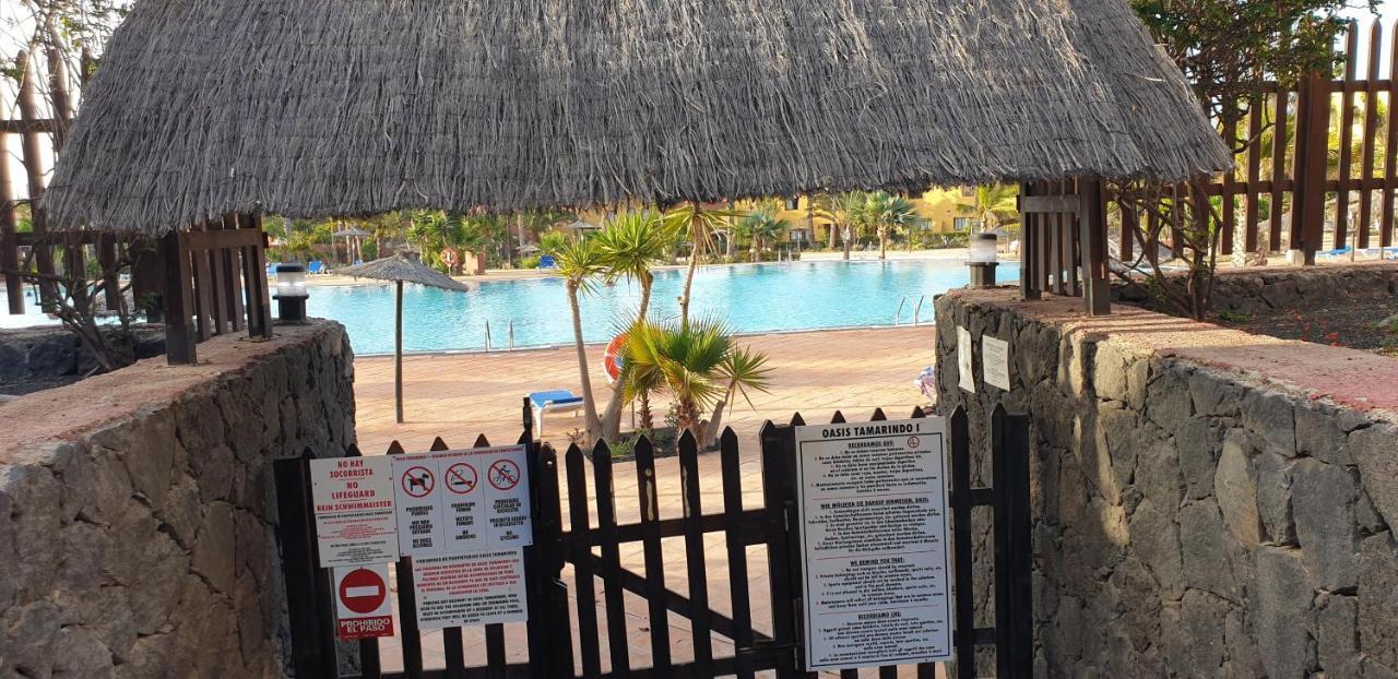 Apartamento Tamarindo I piscinas de agua salada - fibra óptica Corralejo Exterior foto