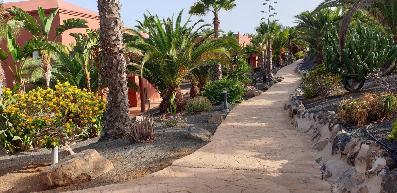 Apartamento Tamarindo I piscinas de agua salada - fibra óptica Corralejo Exterior foto