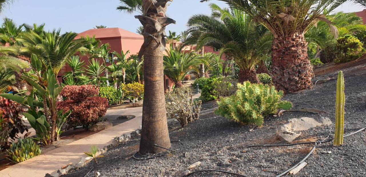 Apartamento Tamarindo I piscinas de agua salada - fibra óptica Corralejo Exterior foto